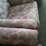 Professional Upholstery Cleaner Auckland